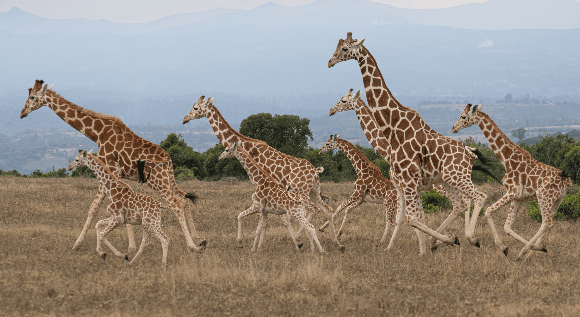 South Africa Should Be Your Next LGBTQ+ Adventure